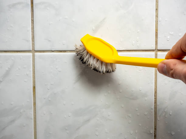 Best Mold Testing and Inspection Services in Atlantic Beach, NC