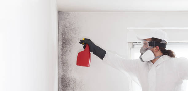 Best Residential Mold Remediation in Atlantic Beach, NC
